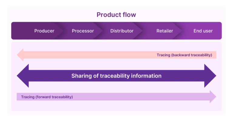Comprehensive Guide to Traceability Tools